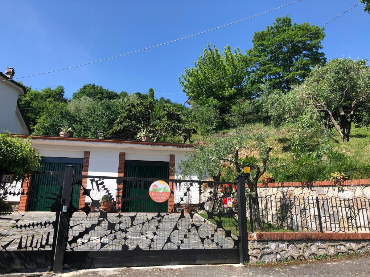 La Collina Di Albiro Affittacamere Arcola Bagian luar foto