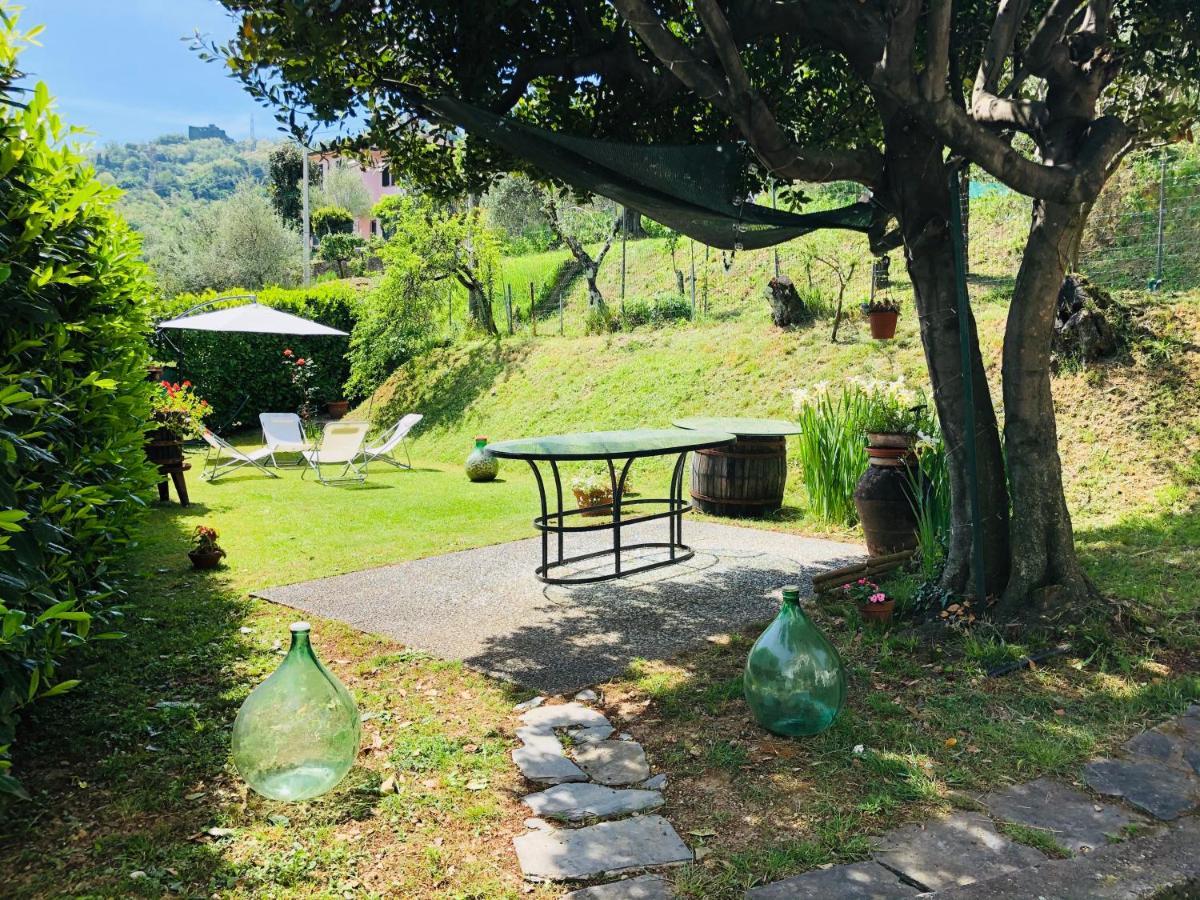 La Collina Di Albiro Affittacamere Arcola Bagian luar foto