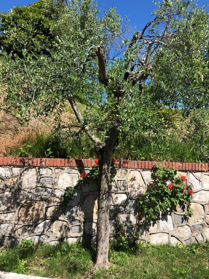 La Collina Di Albiro Affittacamere Arcola Bagian luar foto
