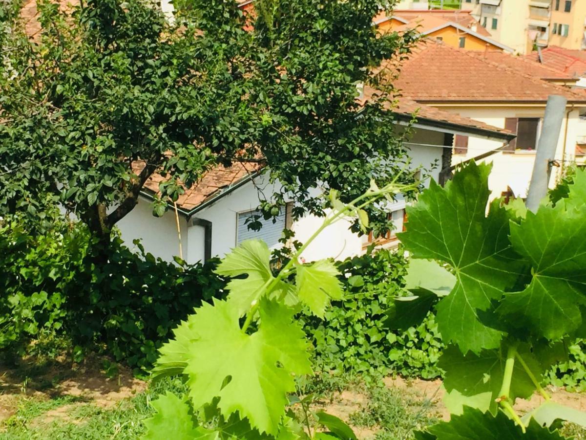 La Collina Di Albiro Affittacamere Arcola Bagian luar foto